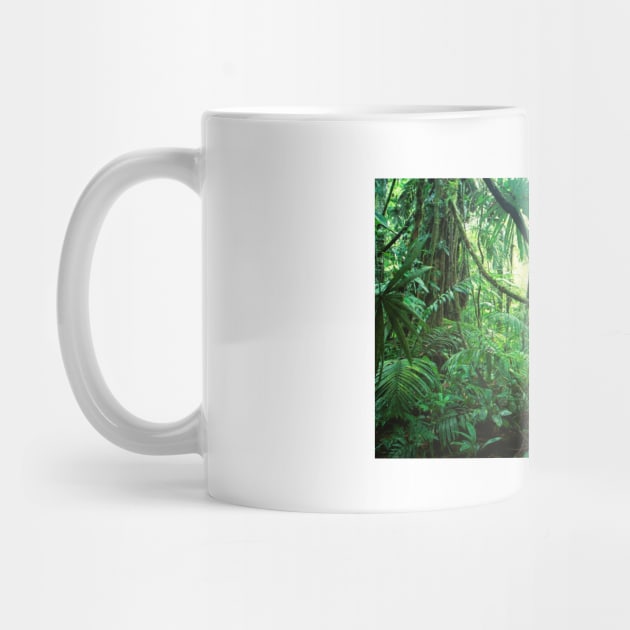 Jungle by kawaii_shop